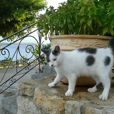 Apartment Niriides *