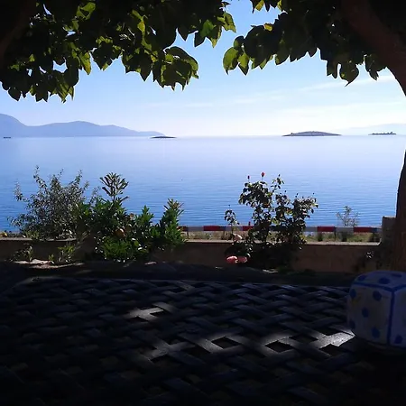 Niriides Galaxídhion